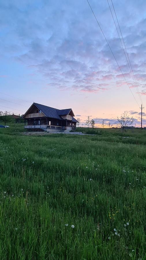 Willa Casa Bunicilor Din Oncesti Zewnętrze zdjęcie