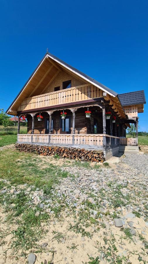 Willa Casa Bunicilor Din Oncesti Zewnętrze zdjęcie