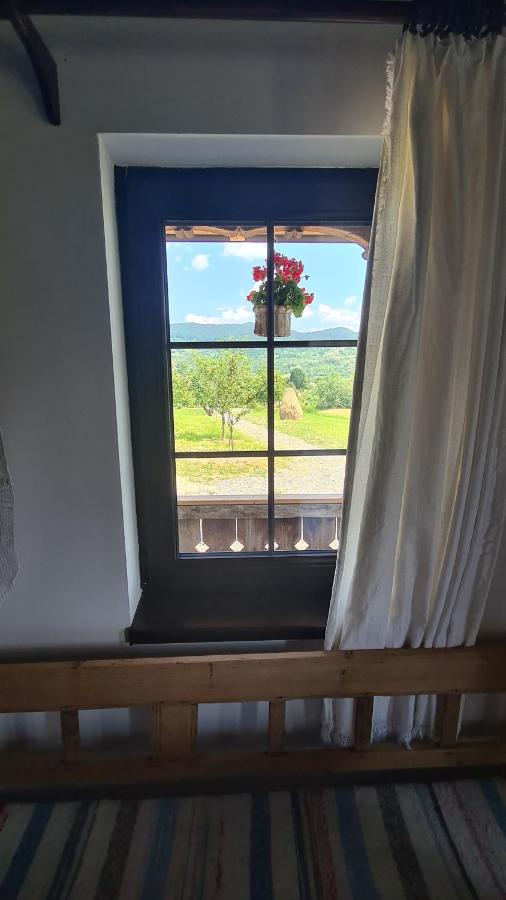 Willa Casa Bunicilor Din Oncesti Zewnętrze zdjęcie